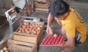 Screenshot_2026-03-16-14-45-48-49_40deb401b9ffe8e1df2f1cc5ba480b12