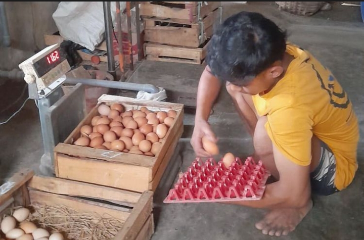 Screenshot_2026-03-16-14-45-48-49_40deb401b9ffe8e1df2f1cc5ba480b12