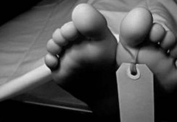 Screenshot_2026-04-04-07-17-23-21_40deb401b9ffe8e1df2f1cc5ba480b12